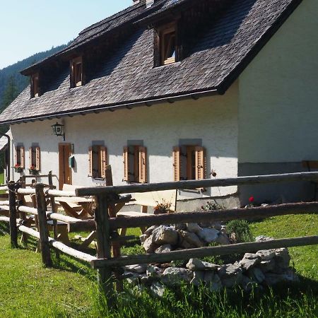 Хостел Zickerreith Almhutte Rosenau am Hengstpass Екстер'єр фото