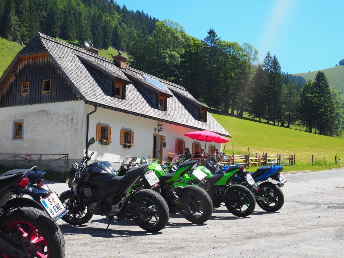 Хостел Zickerreith Almhutte Rosenau am Hengstpass Екстер'єр фото