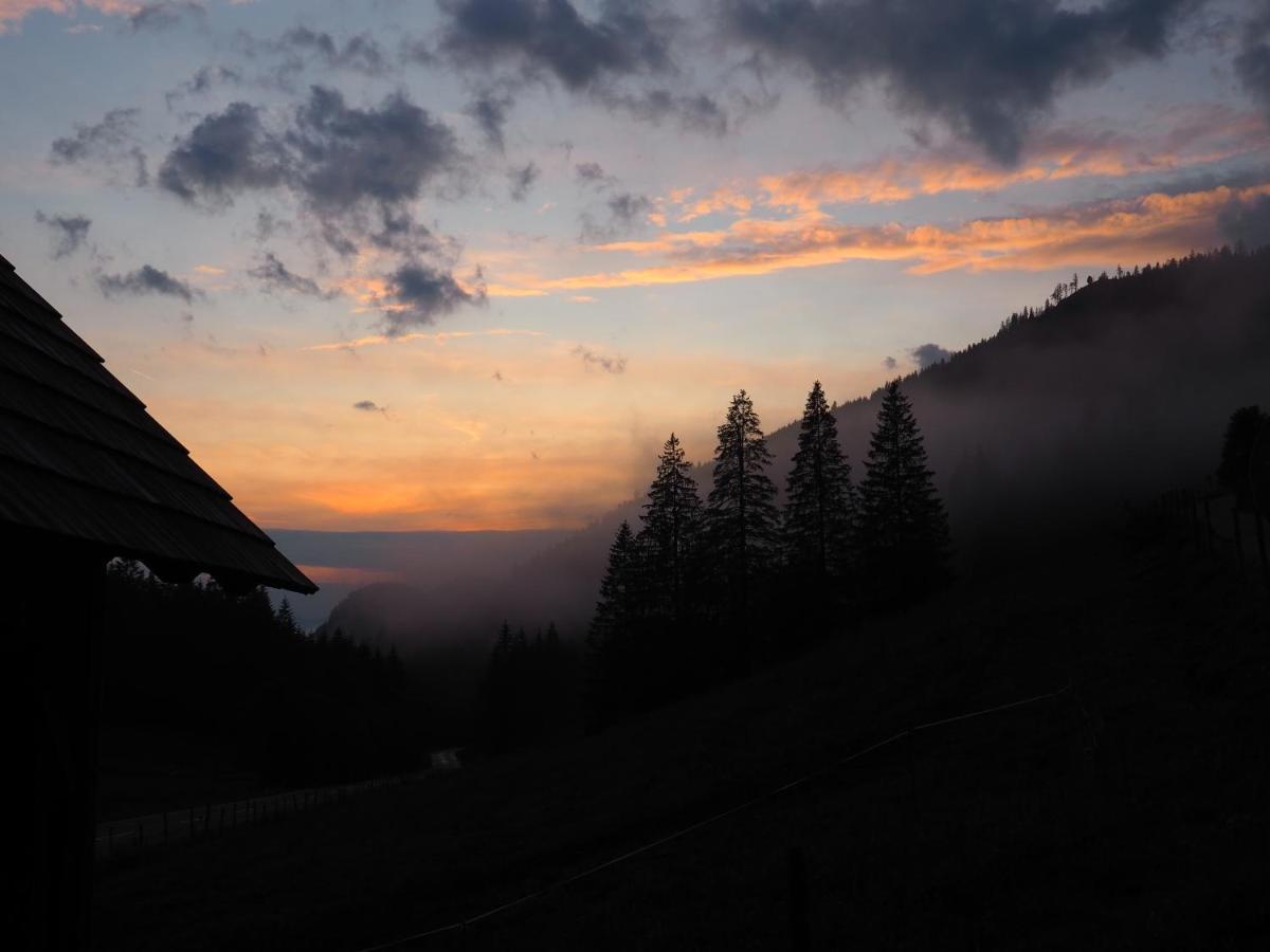 Хостел Zickerreith Almhutte Rosenau am Hengstpass Екстер'єр фото