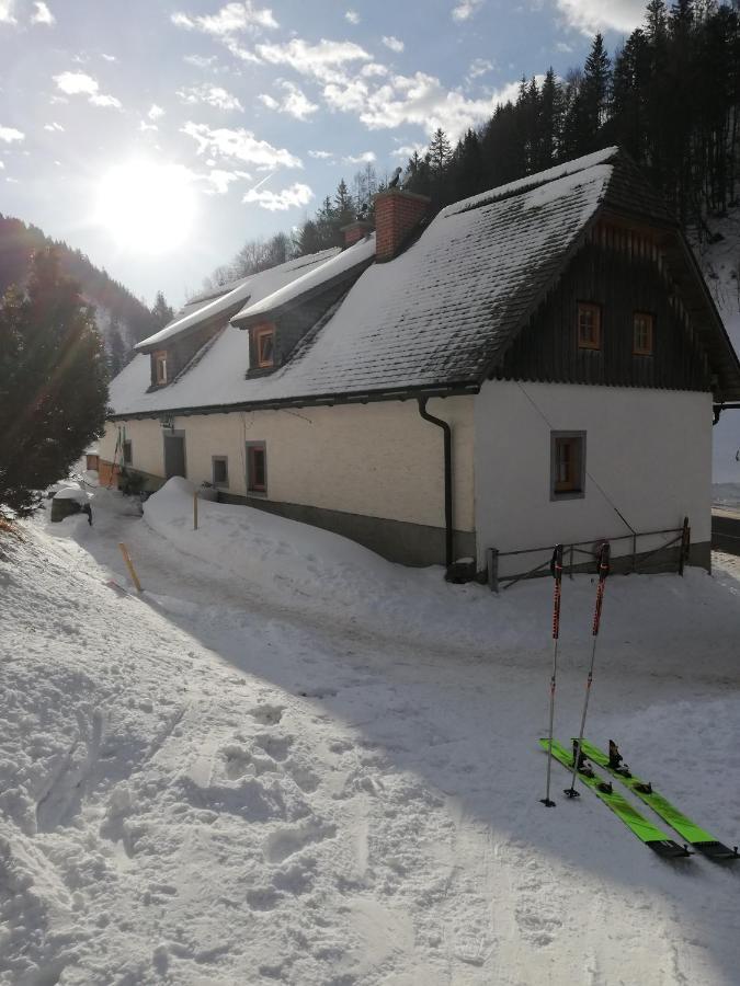 Хостел Zickerreith Almhutte Rosenau am Hengstpass Екстер'єр фото